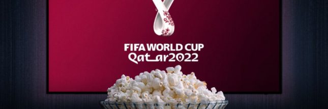 Sondage sur la coupe du monde de football 2022 au Qatar