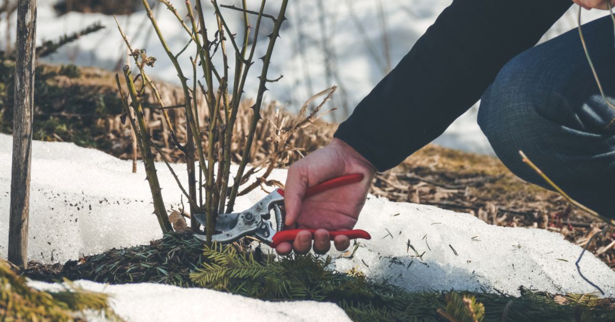 Préservez votre intérieur du froid durant la période hivernale