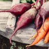 Conserver les légumes tout l'hiver, sans frigo ni cave : 5 tutos faciles pour construire un silo