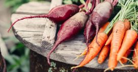 Conserver les légumes tout l’hiver, sans frigo ni cave : 5 tutos faciles pour construire un silo