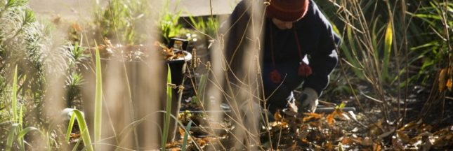 Préparer son jardin pour l'hiver : jardiner en décembre