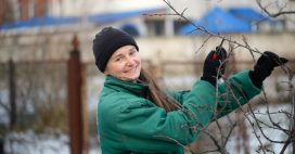 Potager, serre, gazon et fleurs : que faire avant l’hiver ?