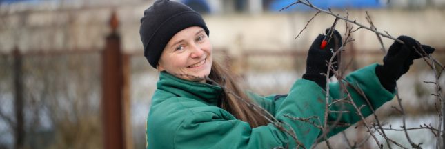 Que faire au jardin et au potager en décembre ?