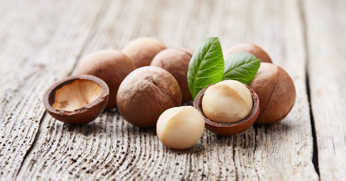 La noix de macadamia, l’anticholestérol par excellence