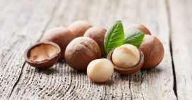 La noix de macadamia, l’anticholestérol par excellence