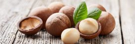 La noix de macadamia, l'anticholestérol par excellence