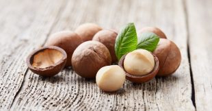 La noix de macadamia, l'anticholestérol par excellence