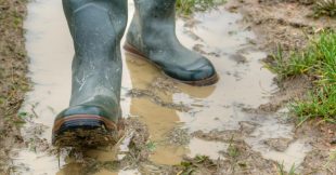 Votre jardin est boueux ? 3 astuces pour l'assécher et autres conseils