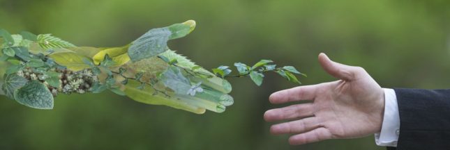 Jean-Bernard Lafonta et le Groupe HLD s'impliquent dans le développement durable