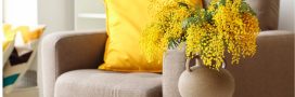 10 plantes pour un intérieur naturellement parfumé