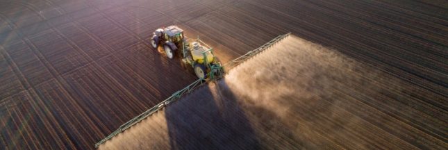 pesticides néonicotinoïdes pour les betteraves