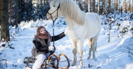 Les meilleures idées d’activité nature pendant les vacances d’hiver