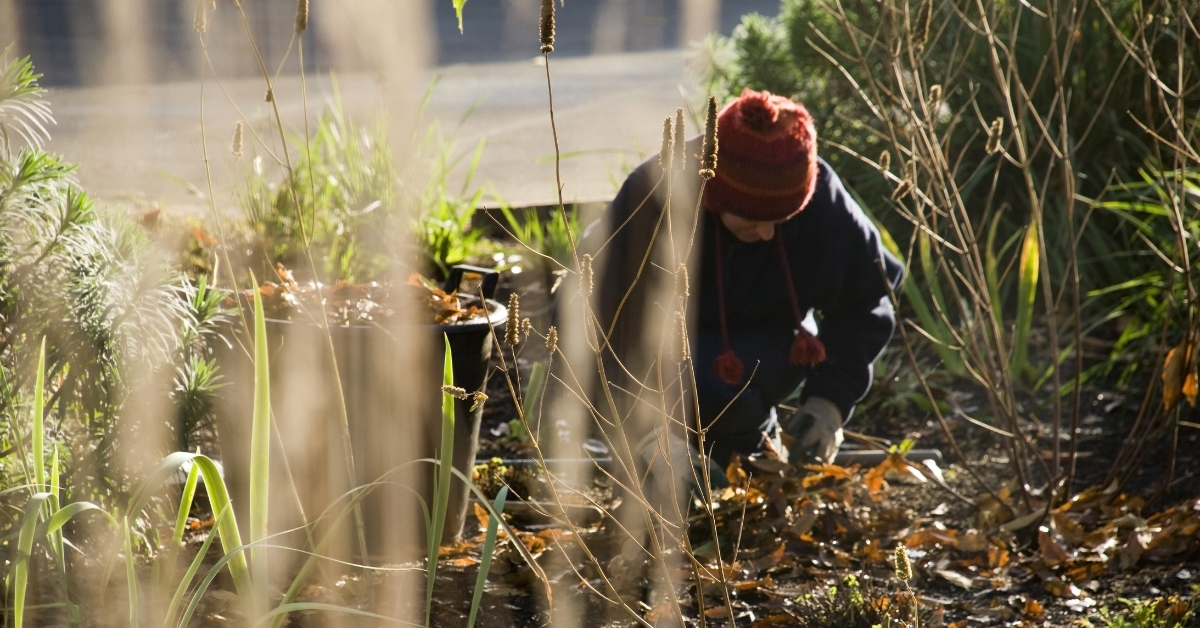 Jardiner en février : ces gestes essentiels à ne pas oublier au jardin, au potager et sous serre