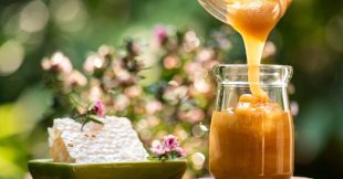 Le miel de Manuka, nectar aux vertus exceptionnelles