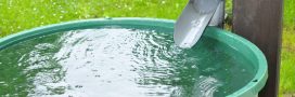 Interdiction d’eau de pluie pour un usage domestique : vérité ou rumeur ?