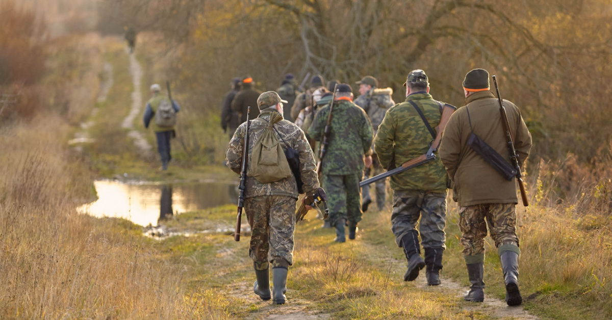 Chasse : interdite le dimanche à Saint-Dié-des-Vosges