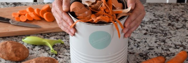 Composter en appartement : quelles solutions pour les citadins