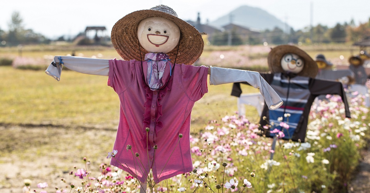 14 idées pour réutiliser les textiles et habits au jardin