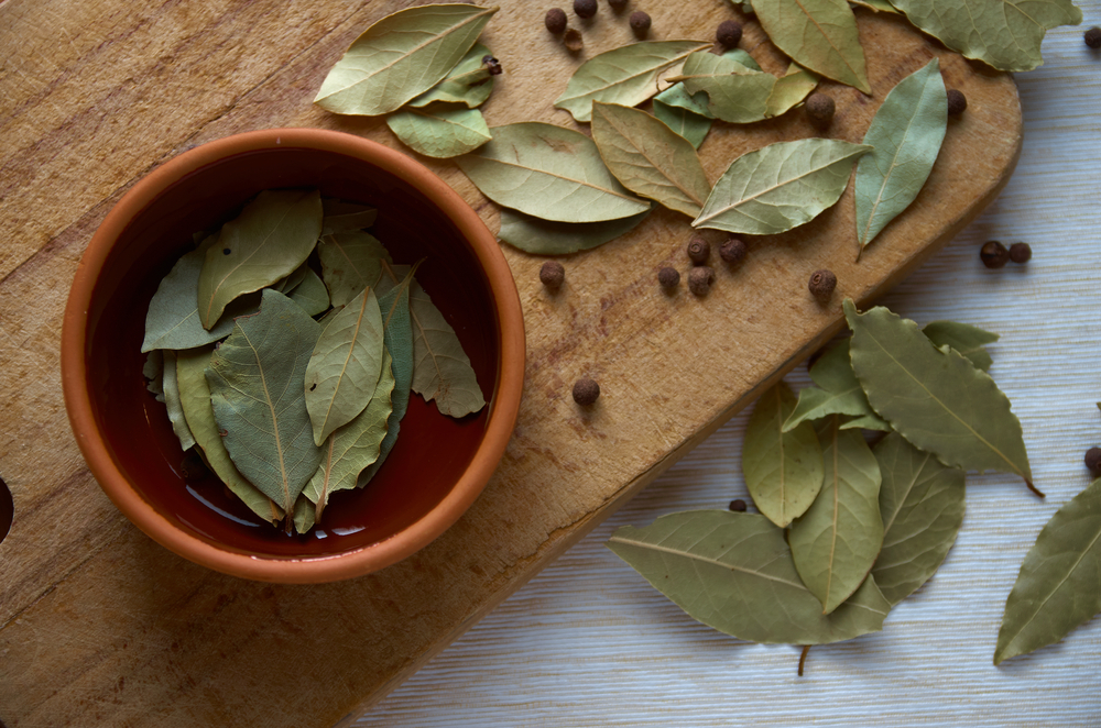 Les multiples usages des feuilles de laurier : cuisine, beauté, santé
