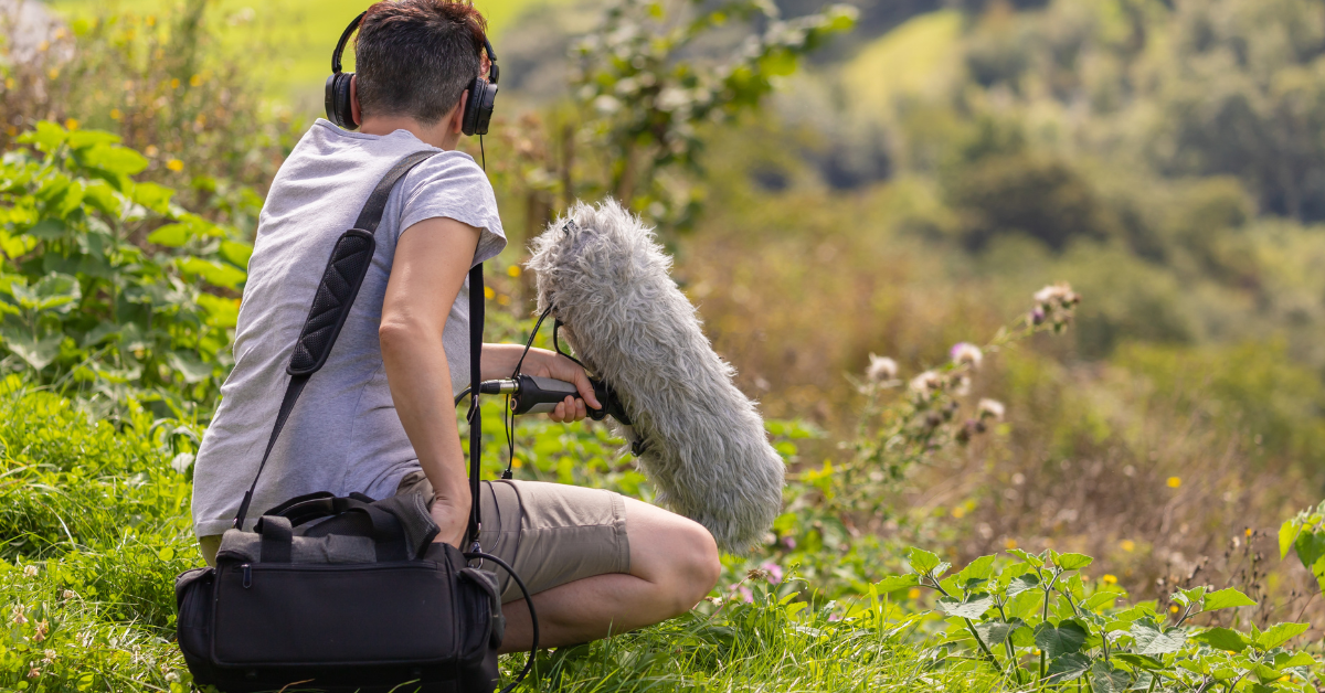 Nuisances sonores : quand l'anthropophonie menace la biodiversité