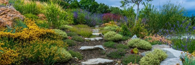 Créer un jardin méditerranéen : un oasis ensoleillé nécessitant peu d'eau