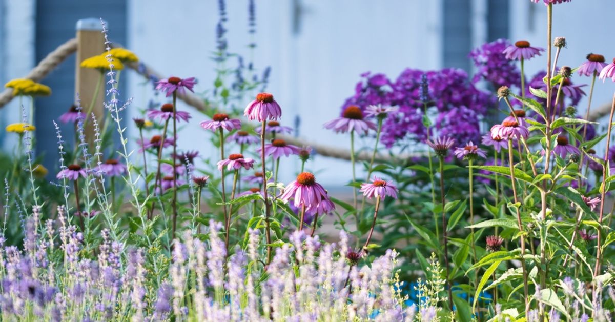 Préparer son jardin pour l'été : les étapes essentielles pour des plantes résilientes