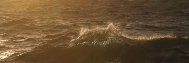 Une canicule marine extrême dans l'océan Atlantique Nord : des conséquences désastreuses