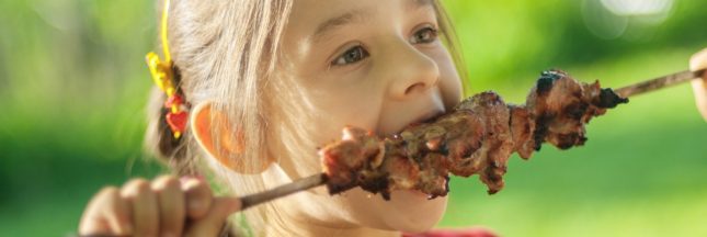 consommation viande en France