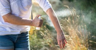 Repousser les tiques : les odeurs qu'elles détestent et comment fabriquer un spray anti-tiques