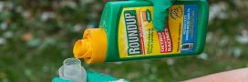 Glyphosate : c’est reparti pour dix ans en Europe