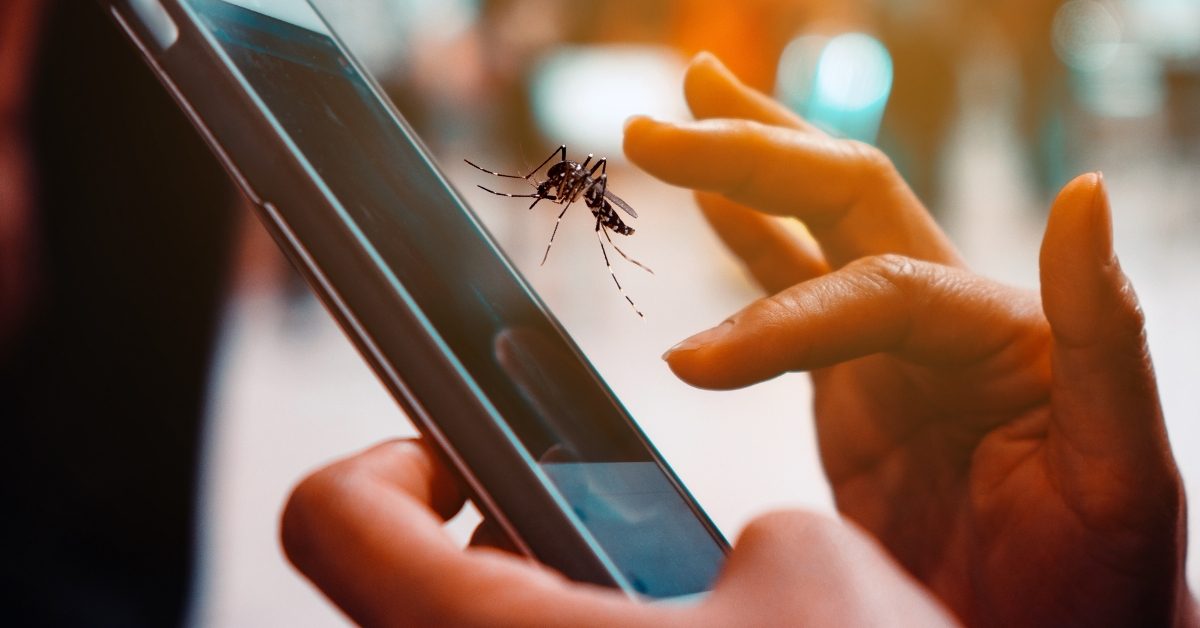 Applications mobiles ‘anti-moustiques’ : sont-elles inefficaces ?