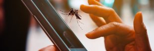 Applications mobiles 'anti-moustiques' : sont-elles inefficaces ?
