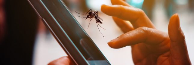 Applications mobiles « anti-moustiques » : sont-elles inefficaces ?