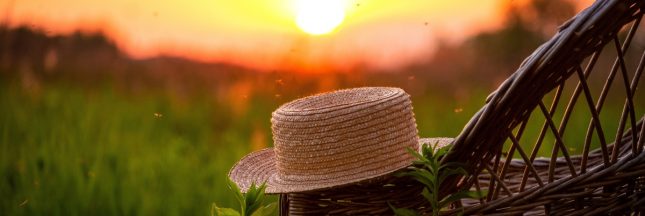 Pourquoi, cette année, le solstice d'été tombe le 20 juin