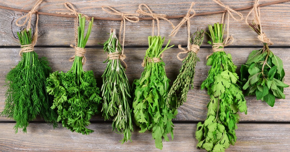 5 herbes aromatiques bonnes à manger et bonnes pour la santé