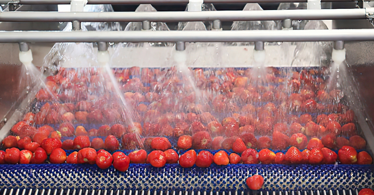 L'industrie agroalimentaire va pouvoir utiliser de l'eau recyclée