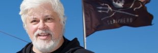 Arrestation de Paul Watson : un combat pour la préservation des océans