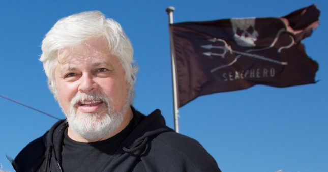 Arrestation De Paul Watson : Un Combat Pour La Préservation Des Océans