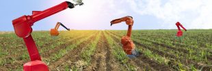 L'avènement des robots désherbants, enfin un espoir pour se passer des pesticides ?