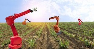 L'avènement des robots désherbants, enfin un espoir pour se passer des pesticides ?
