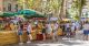 marché de Provence