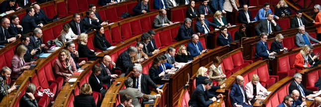 Les députés adoptent un amendement qui défiscalise la pension alimentaire