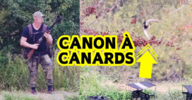 Canon à canards vivants : la ‘formation’ de chiens de chasse dénoncée par Pierre Rigaux