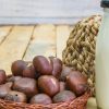 Comment faire son lait de châtaigne maison : bienfaits et recette facile