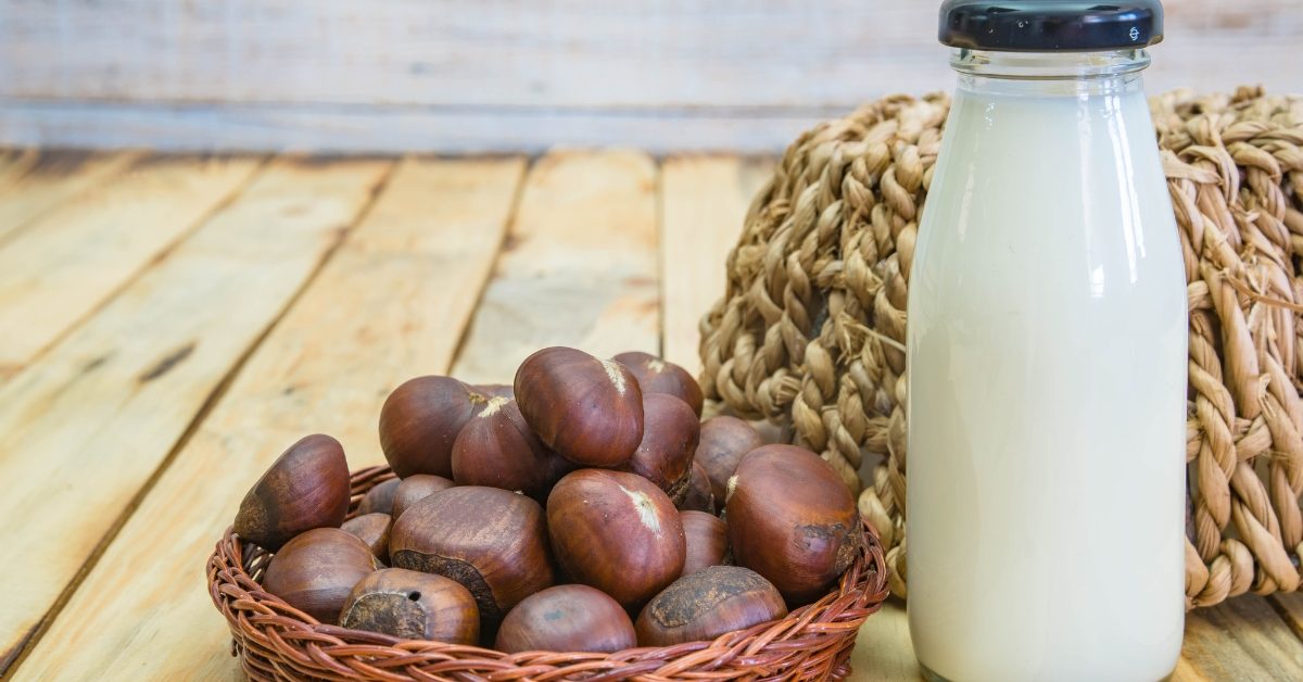 Comment faire son lait de châtaigne maison : bienfaits et recette facile