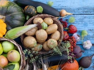 MANGER DE SAISON EN octobre