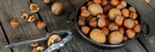 Recycler les coquilles de noix et noisettes : 7 idées pratiques pour le jardin et la maison