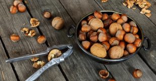 Recycler les coquilles de noix et noisettes : 7 idées pratiques pour le jardin et la maison