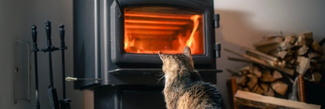 Faire des économies d’énergie en cuisine : 10 bons réflexes à adopter