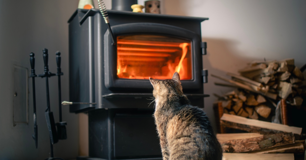 Cendres de bois : comment les utiliser pour le jardin et la maison ?